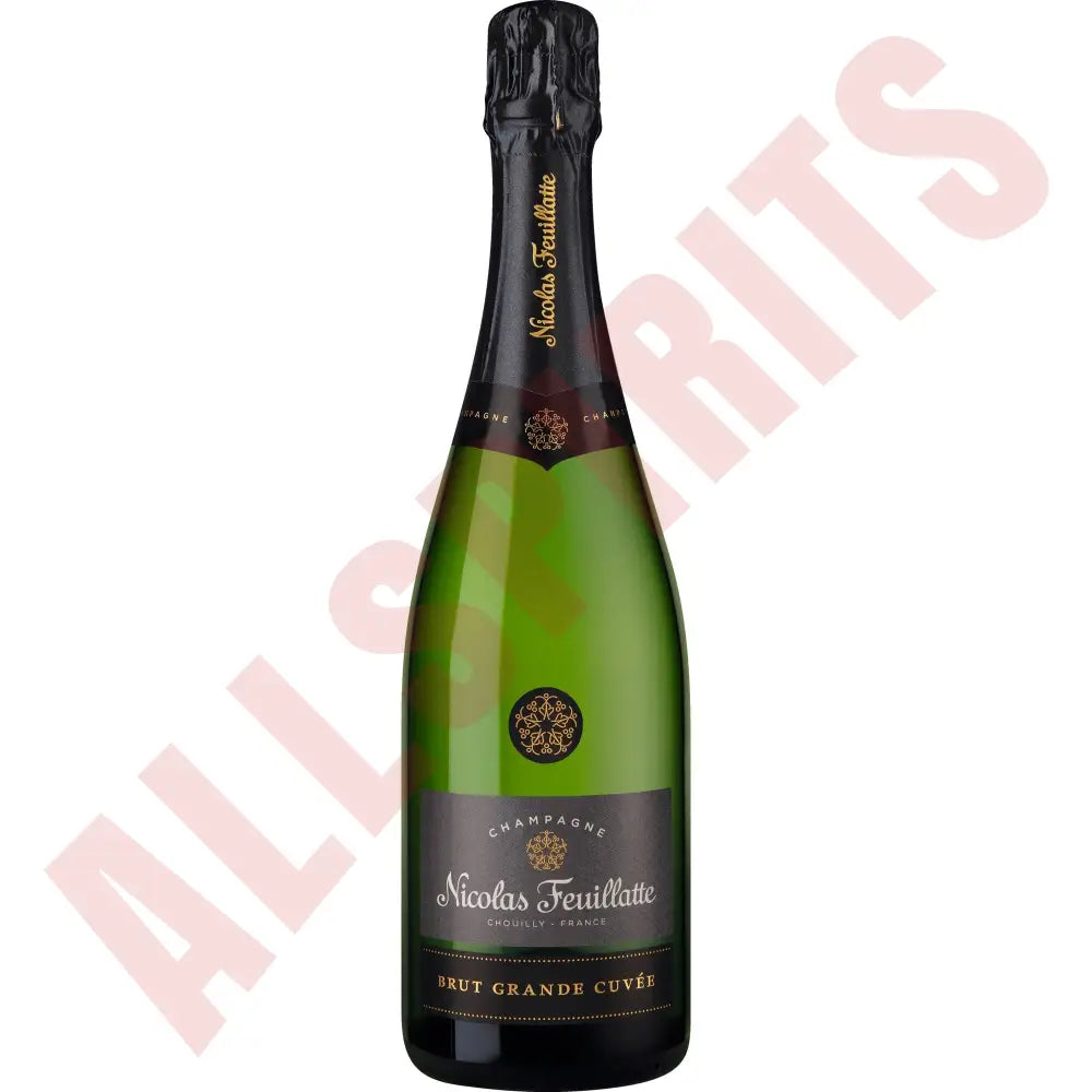Nicolas Feuillatte Brut Fondamental 12% 0,75 ltr. - AllSpirits
