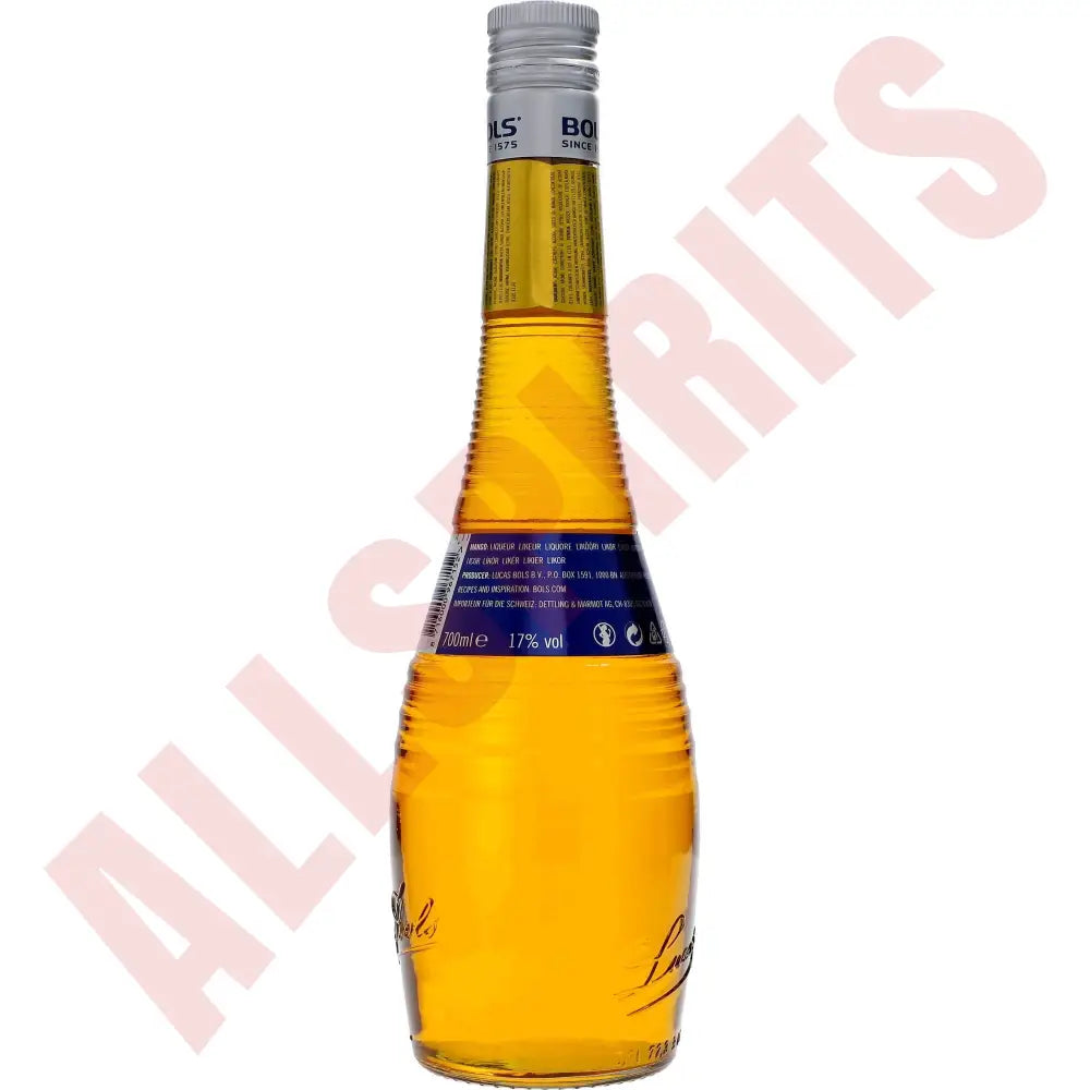 Bols Mango 17% 0,7 ltr. - AllSpirits