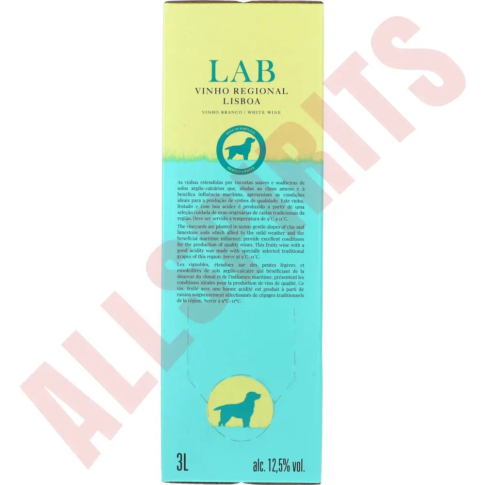 Lab Blanc Fresh & Fruity 12,5% 3 ltr. - AllSpirits