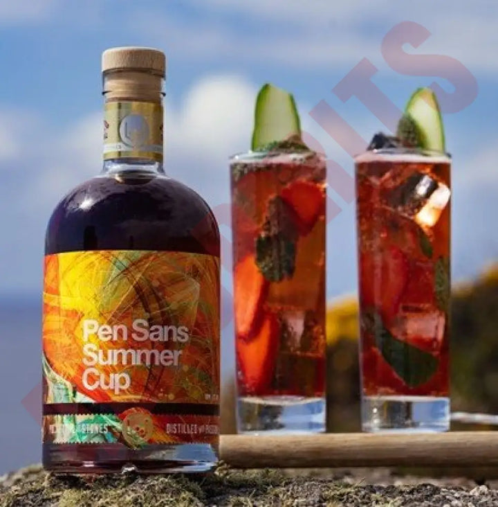 Pen Sans Summer Cup Gin 25% Vol. 0,7 l - AllSpirits