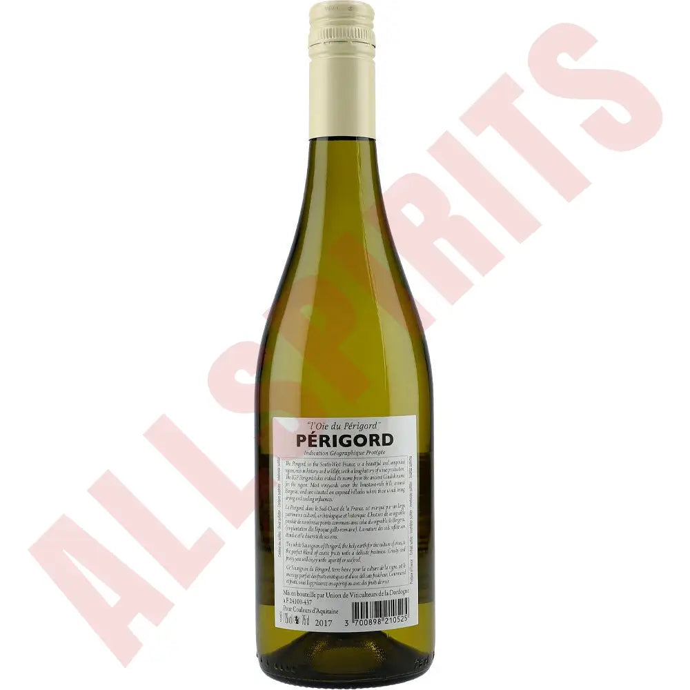 Périgord Sauvignon Blanc 12 % 0,75 ltr. - AllSpirits