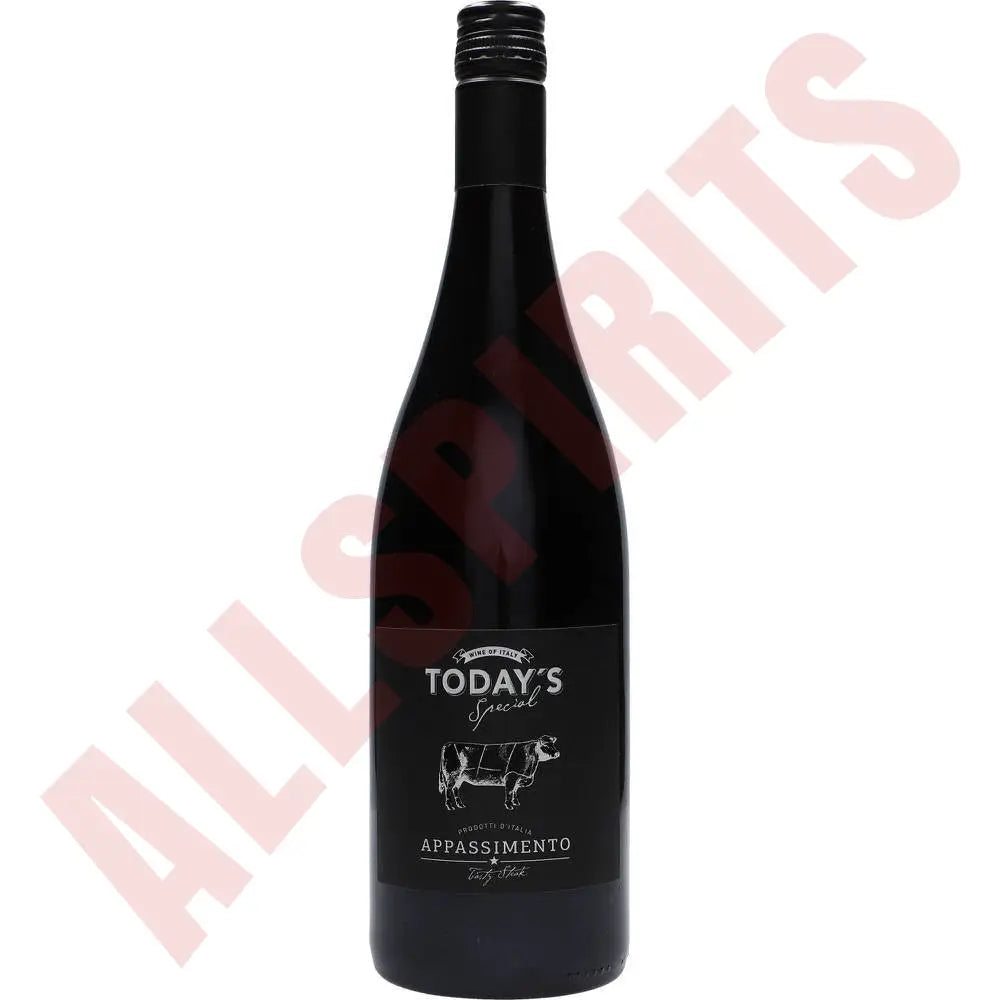 Today´s Special Appassimento Rosso 14,5% 0,75 ltr. - AllSpirits